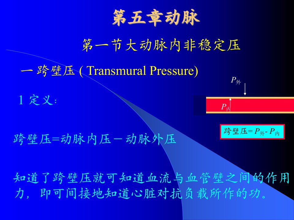 第五章动脉(04)3