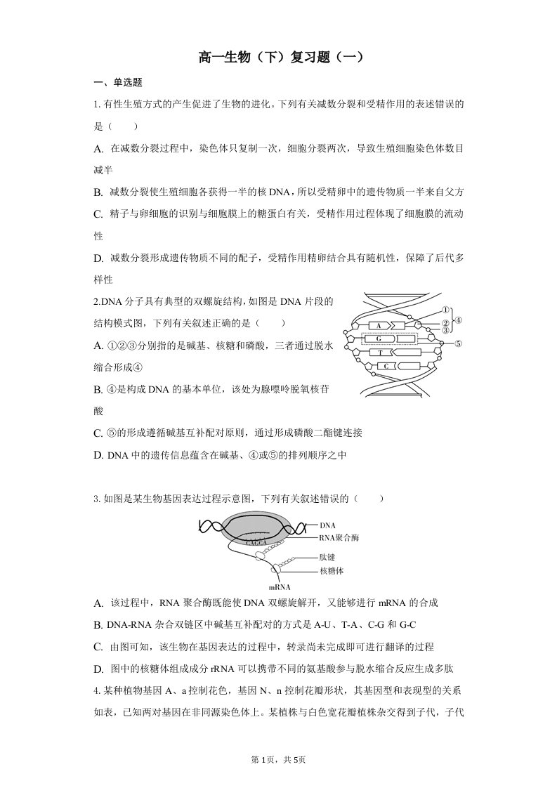 高一生物（下）复习题（一）