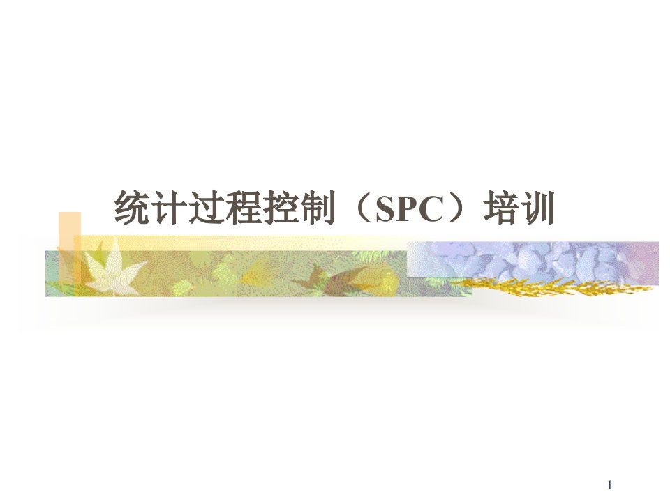 spc(过程质量控制)