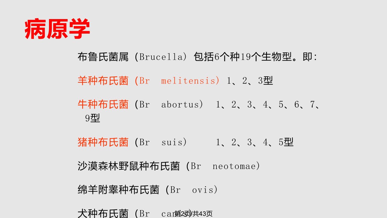 布氏杆菌学习