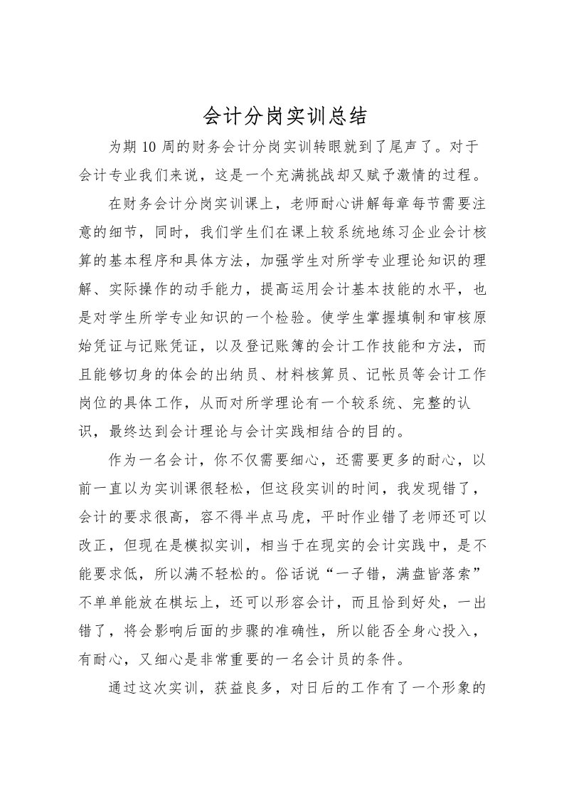 2022会计分岗实训总结