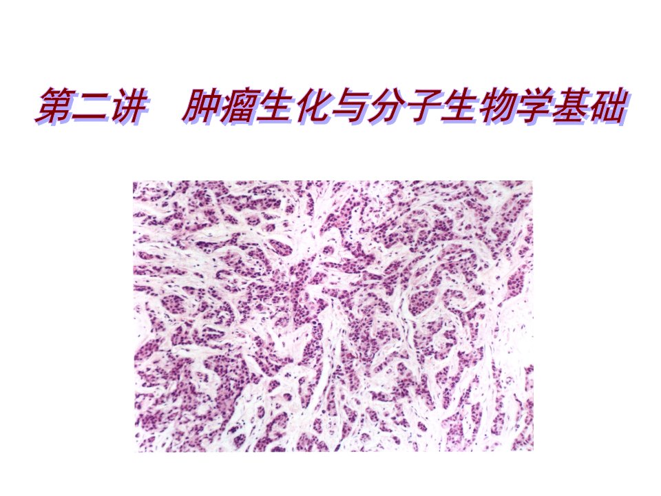 肿瘤生化与分子生物学基础