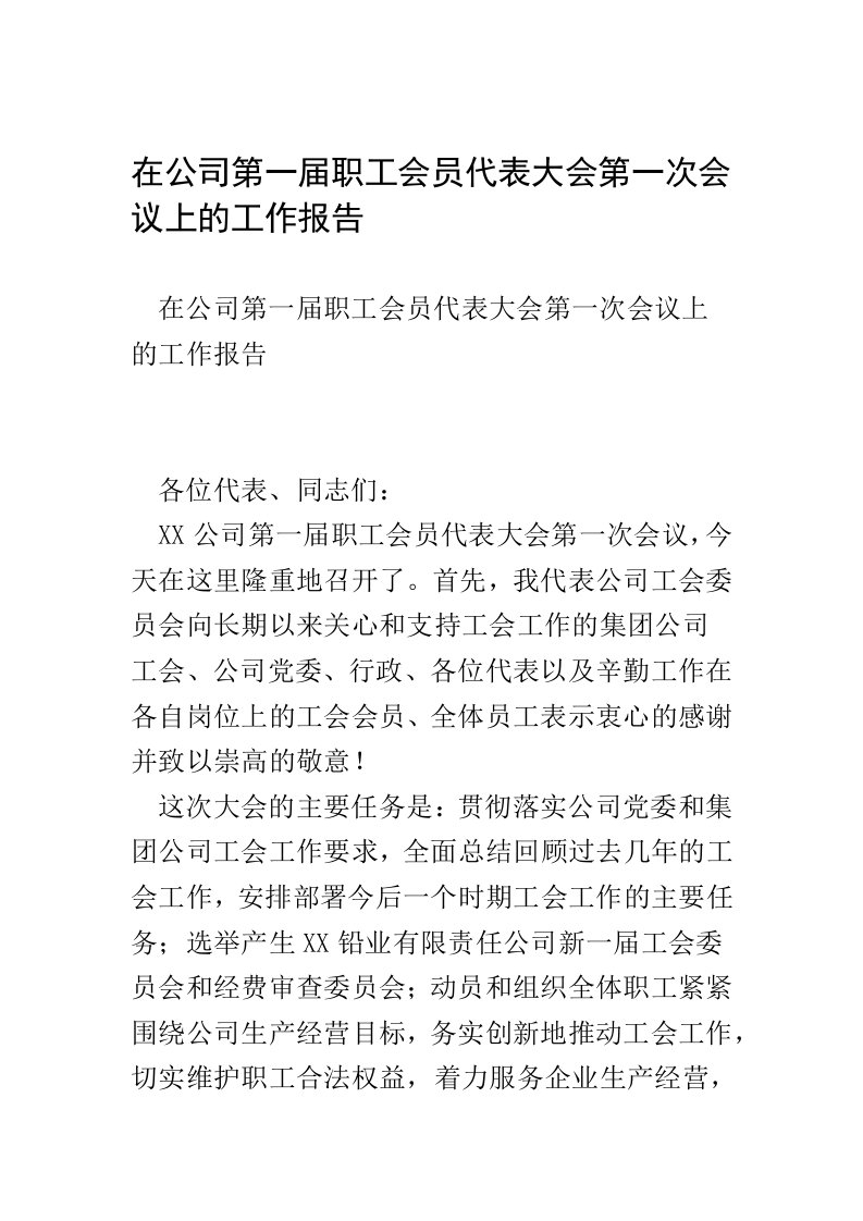 在公司第一届职工会员代表大会第一次会议上的工作报告