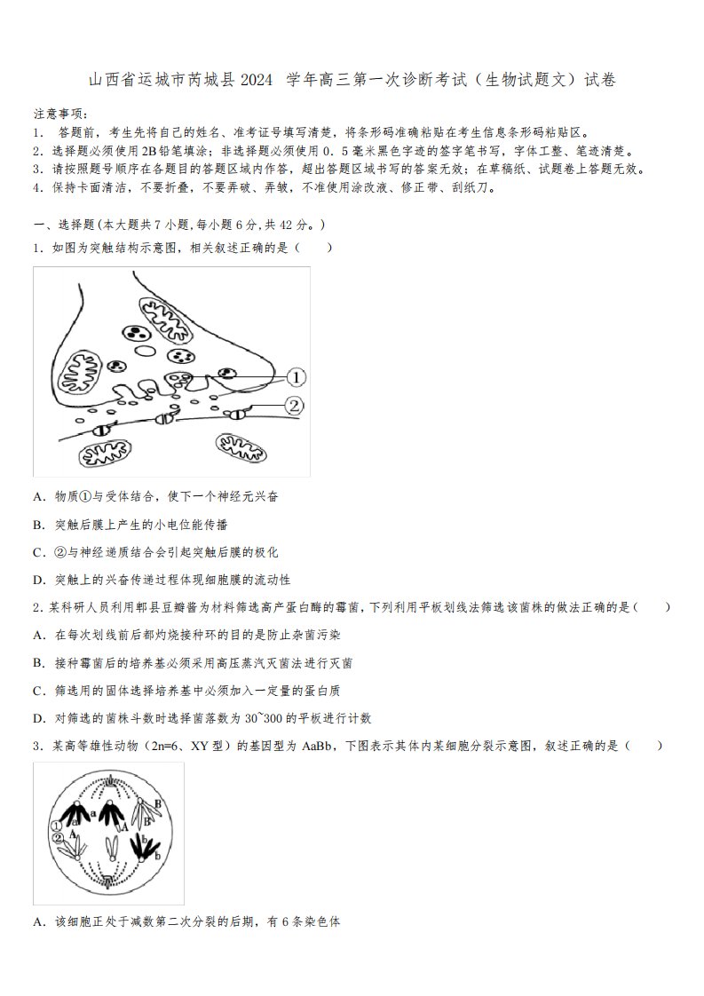 山西省运城市芮城县2024学年高三第一次诊断考试(生物试题文)试卷含解析