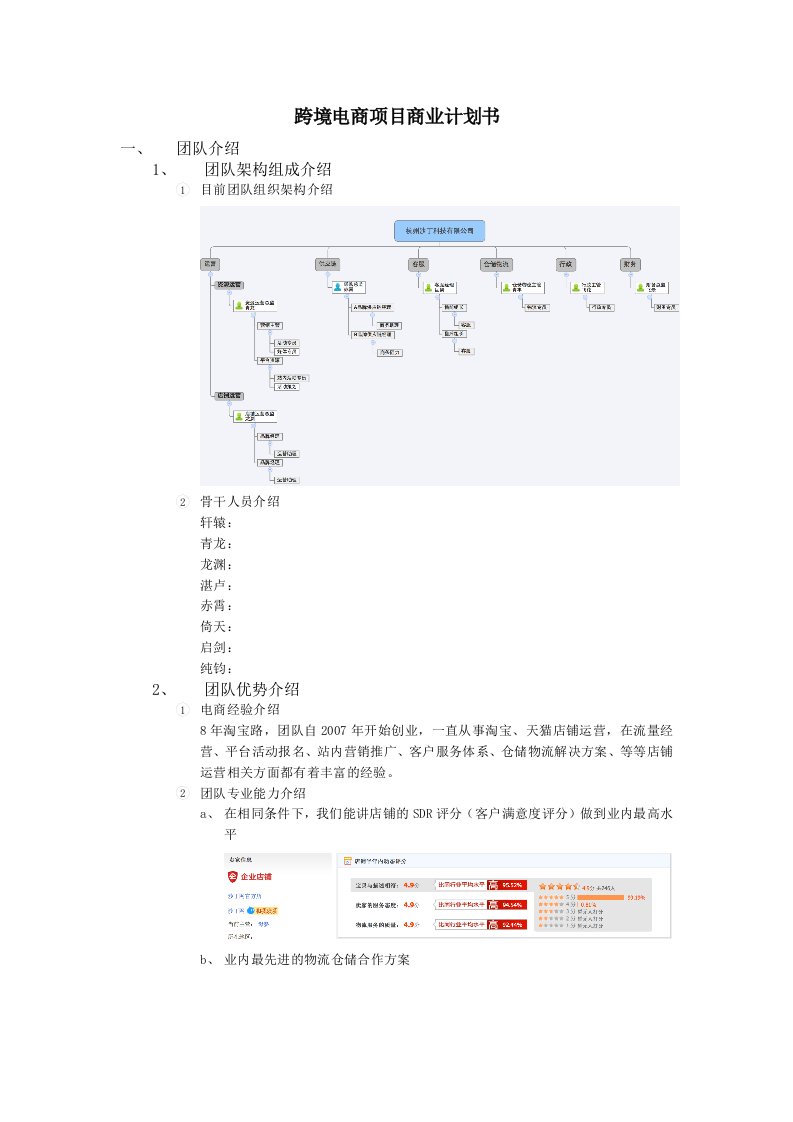 跨境电商项目商业计划书