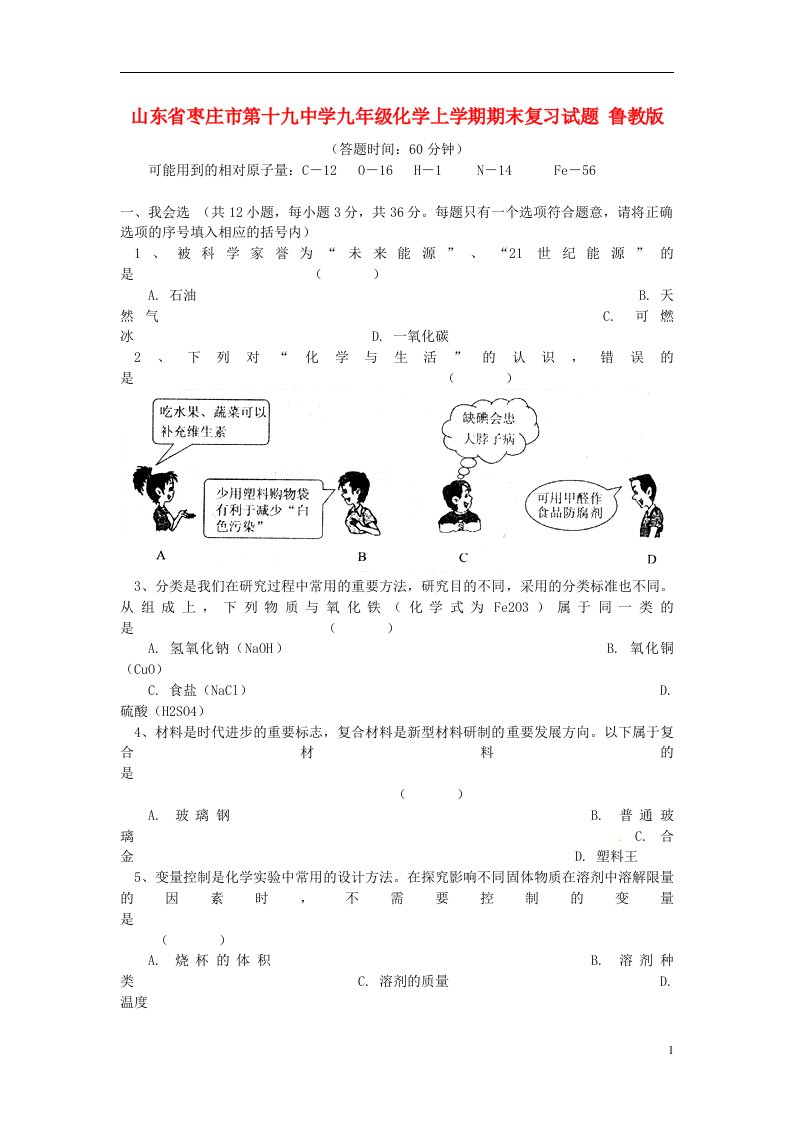 山东省枣庄市第十九中学九级化学上学期期末复习试题