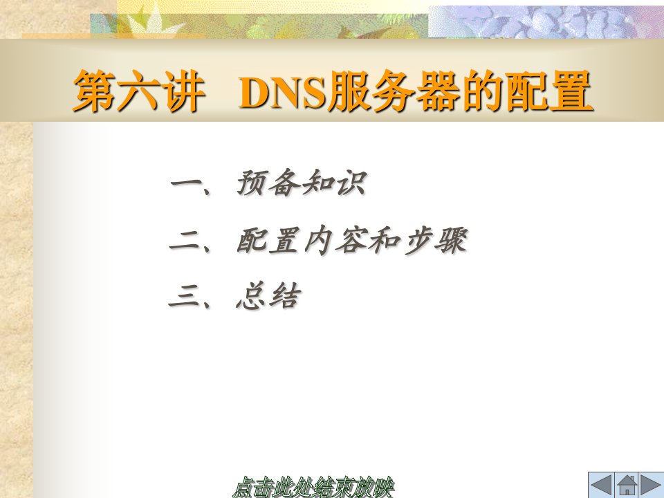 DNS服务器的配置