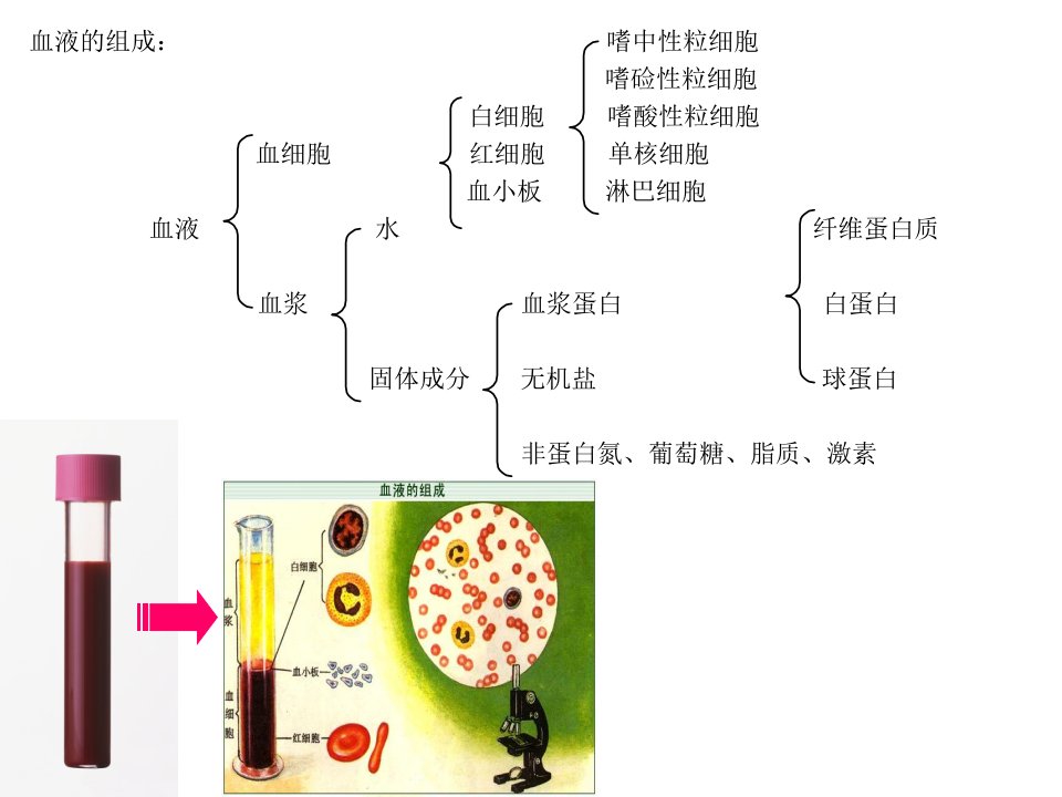 临床血液学检测血液一般检测医学PPT课件