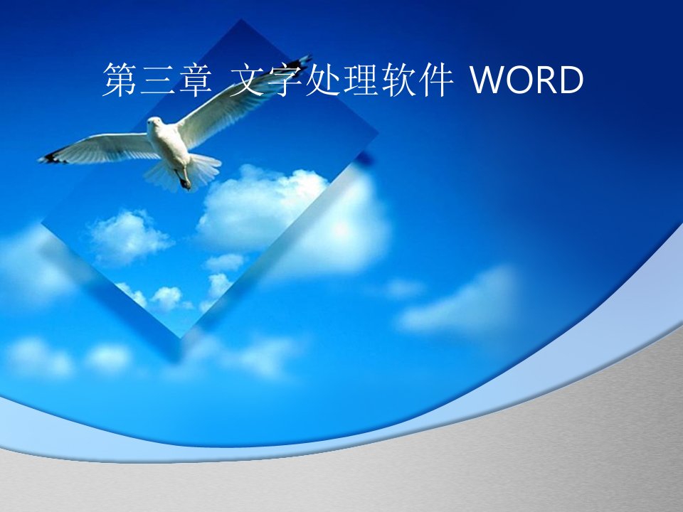 第三章文字处理软件WORD