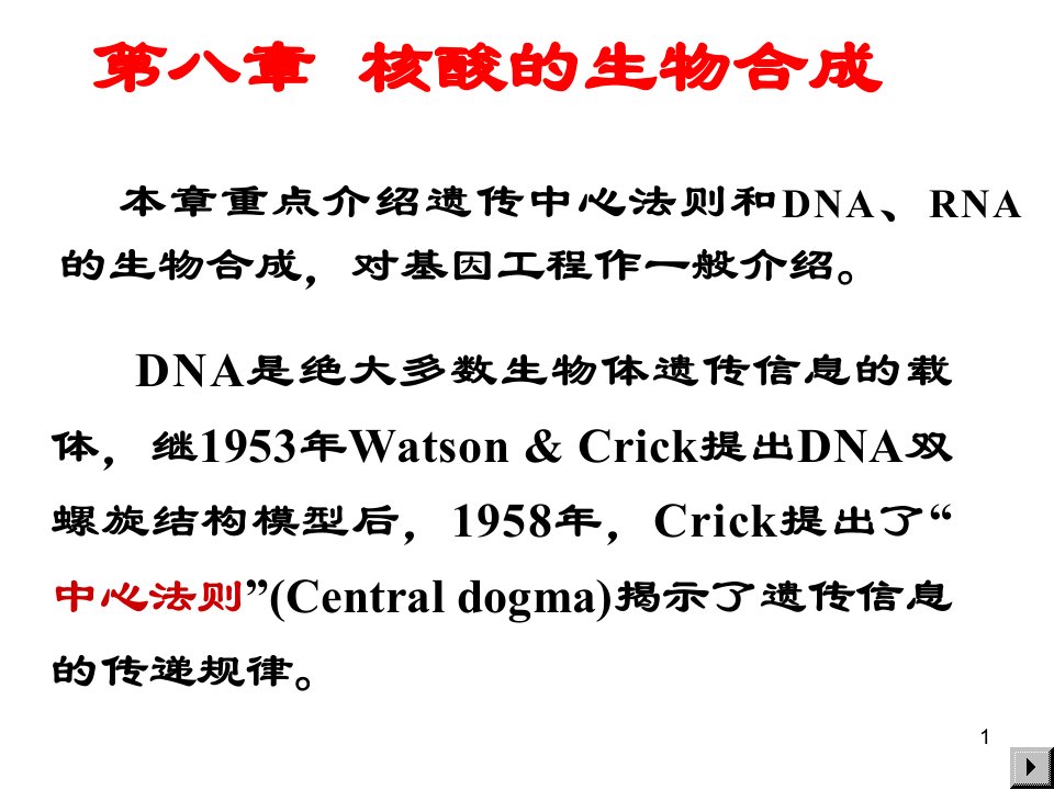 大学教程DNA生物合成课件