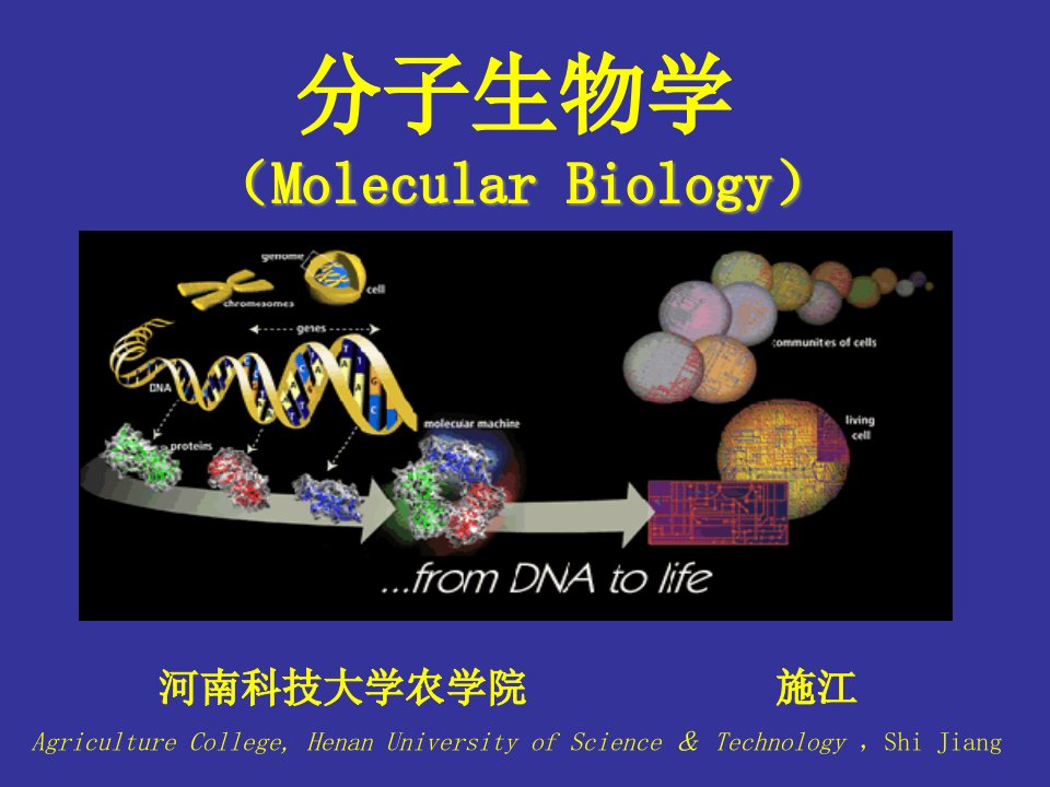 概述分子生物学公开课一等奖市赛课获奖课件