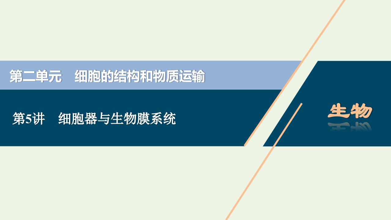 2022年新教材高考生物一轮复习第二单元细胞的结构和物质运输第5讲细胞器与生物膜系统课件新人教版