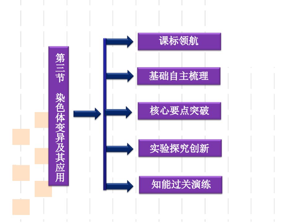 染色体变异及其应用正式版ppt课件