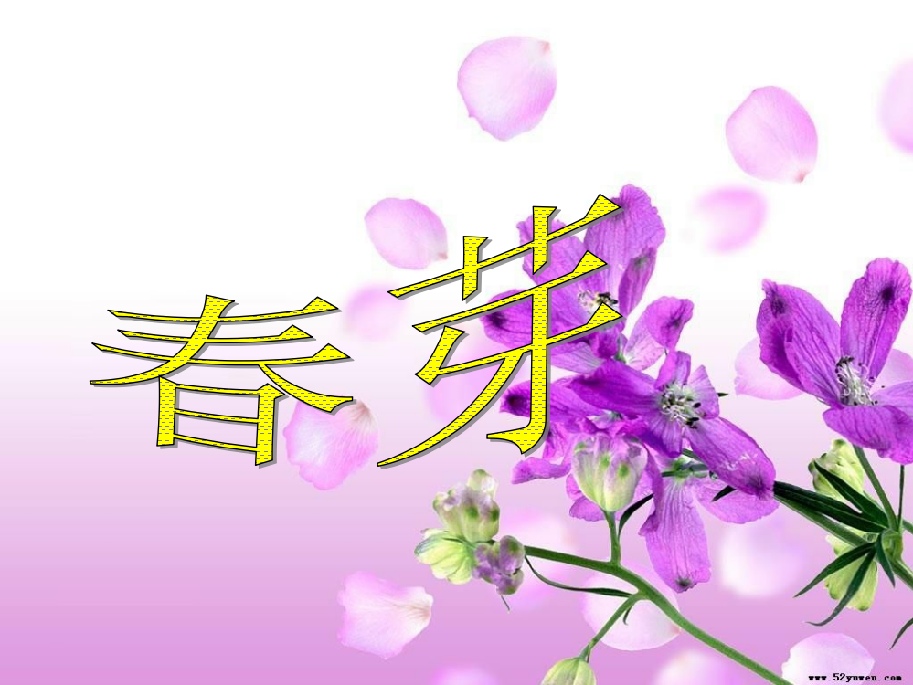 第二板块春芽