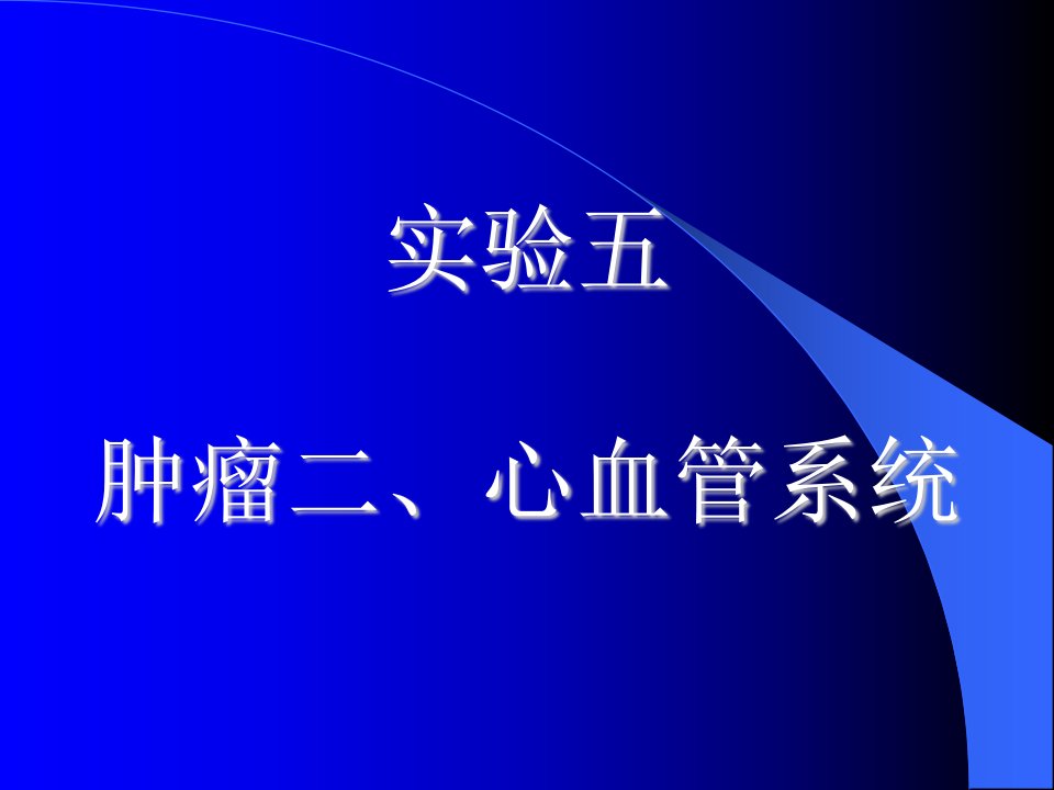 病理学实验课件：实验五