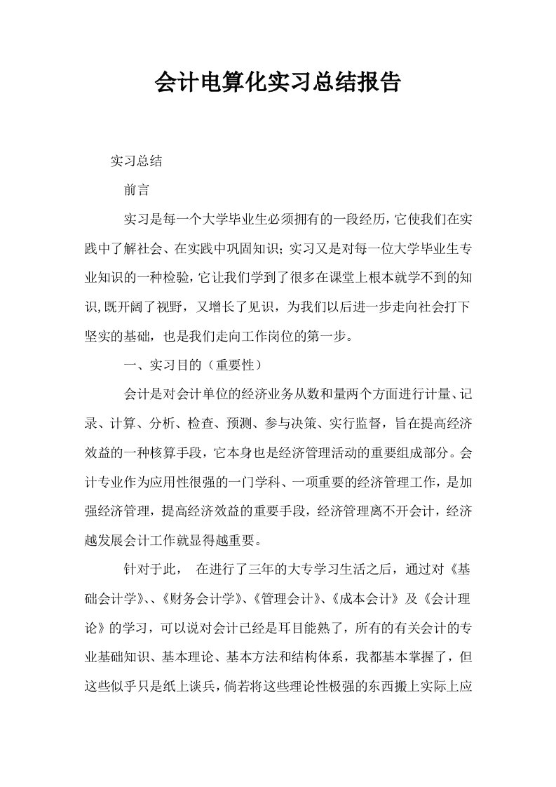 会计电算化实习总结报告