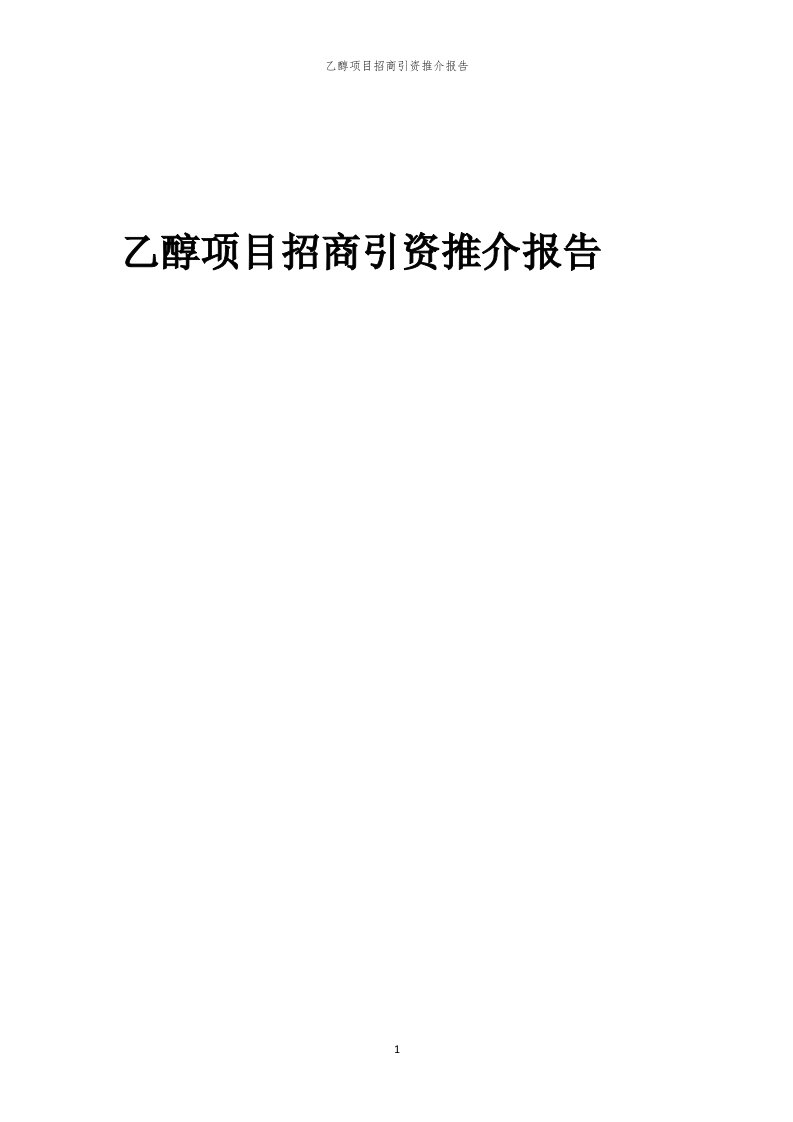 2023年乙醇项目招商引资推介报告