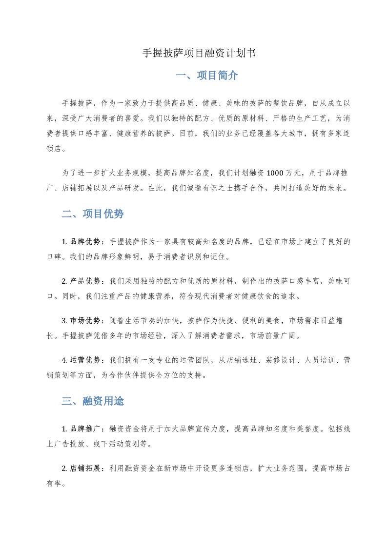 手握披萨项目融资计划书