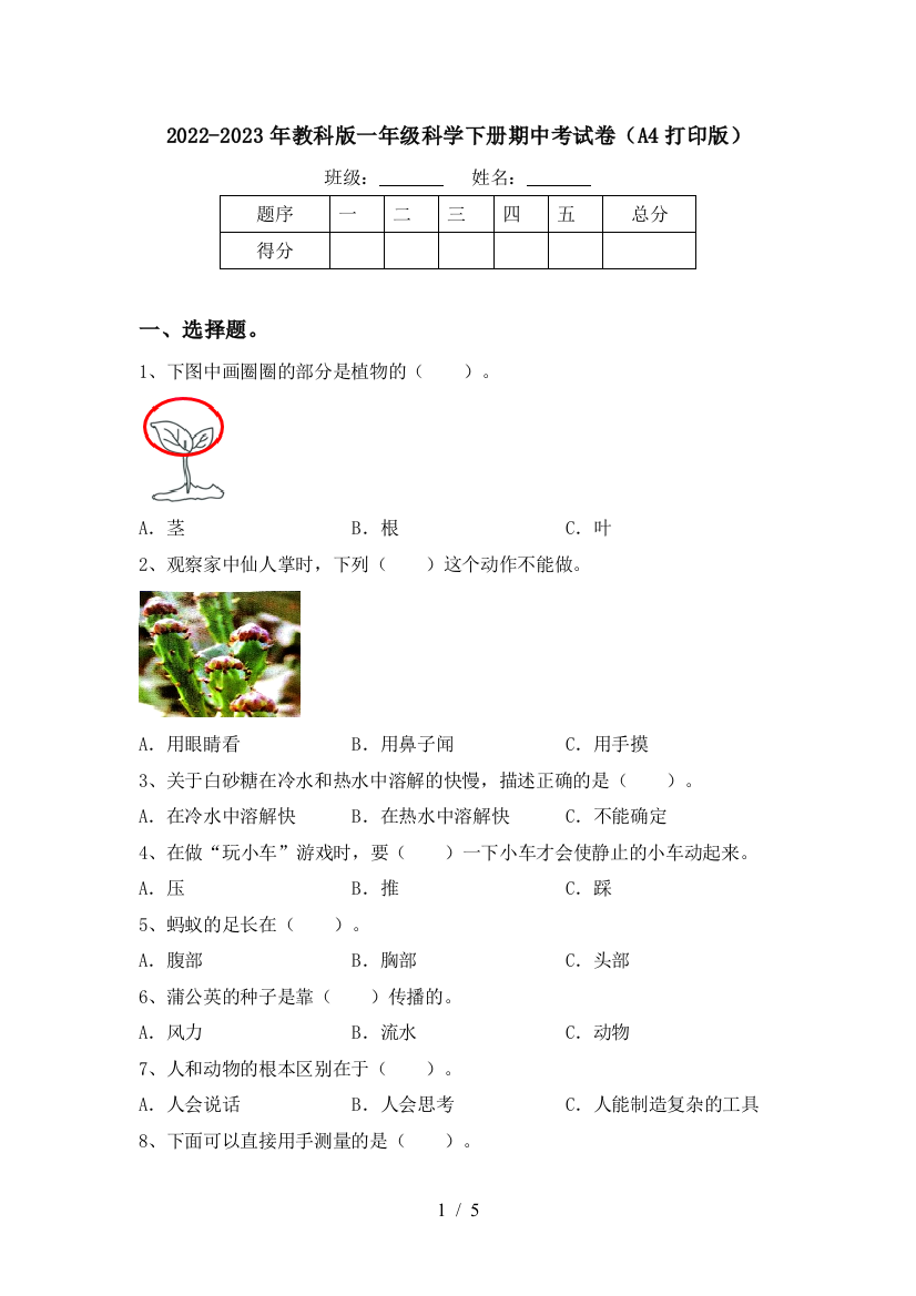 2022-2023年教科版一年级科学下册期中考试卷(A4打印版)