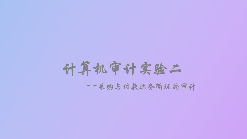 计算机审计实验