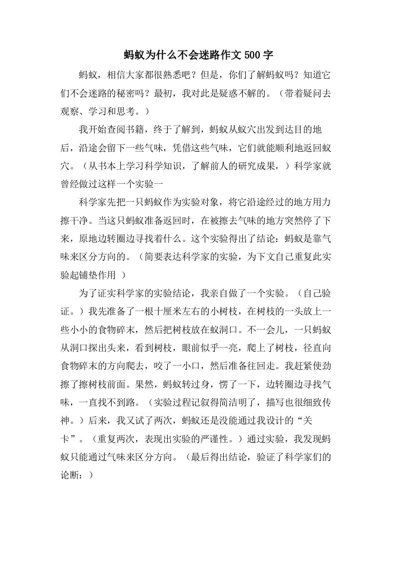 蚂蚁为什么不会迷路作文500字