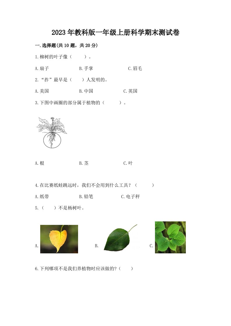 2023年教科版一年级上册科学期末测试卷及答案（考点梳理）