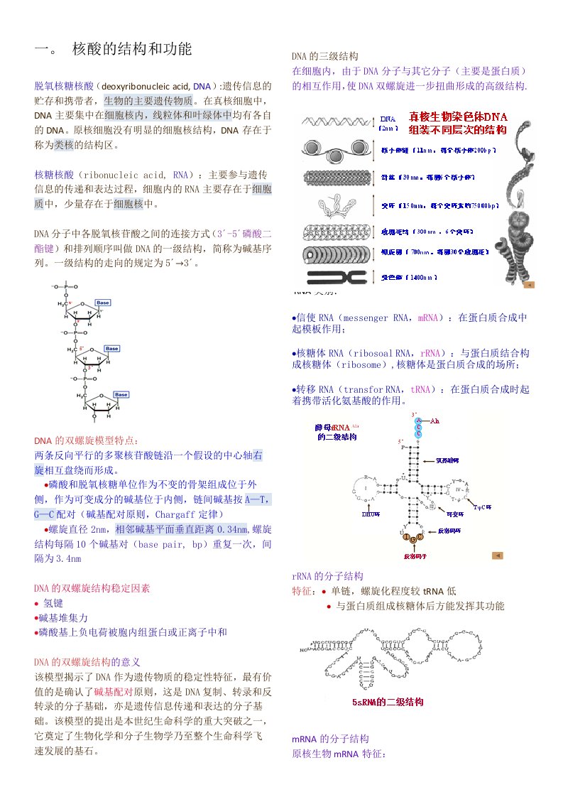 生物化学超详细复习资料图文版