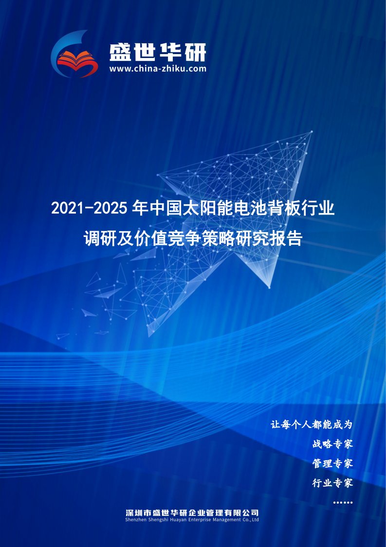 2021-2025年中国太阳能电池背板行业调研及价值竞争策略研究报告