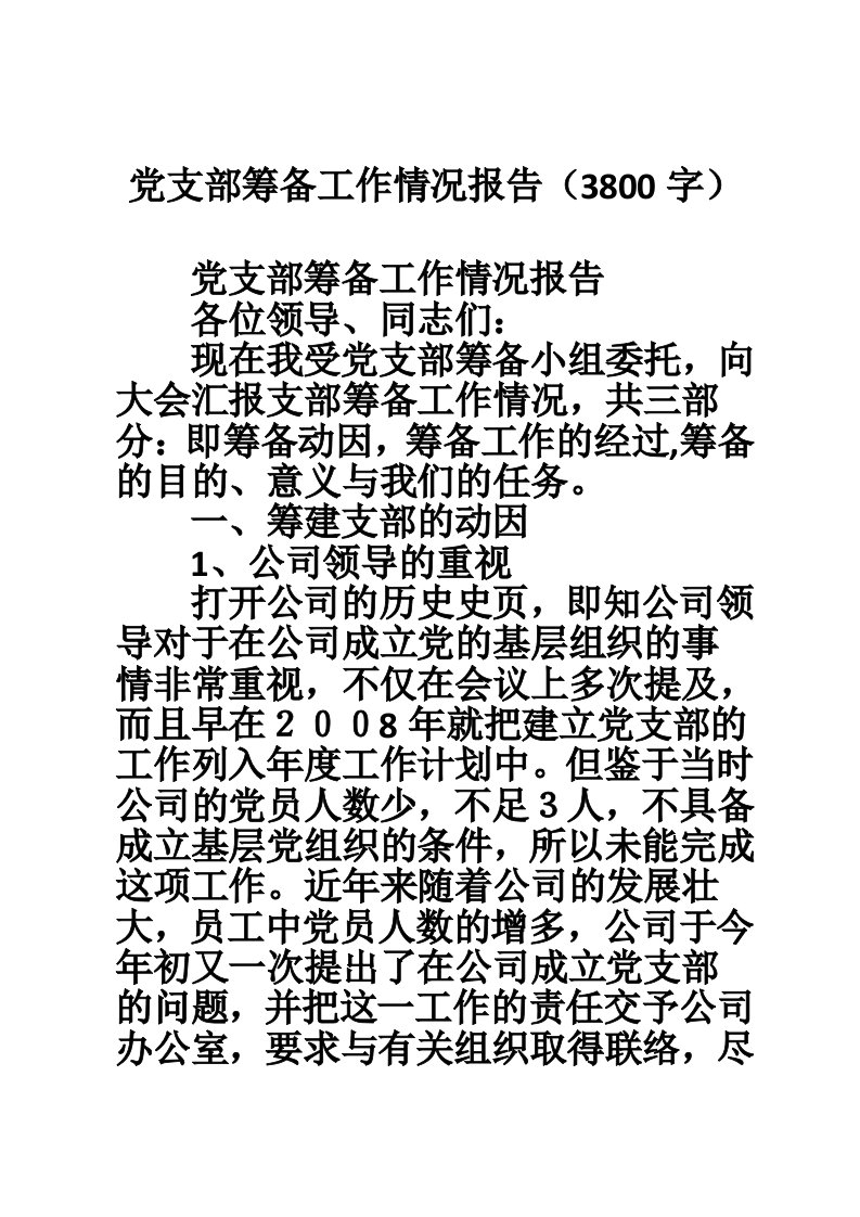 党支部筹备工作情况报告（3800字）