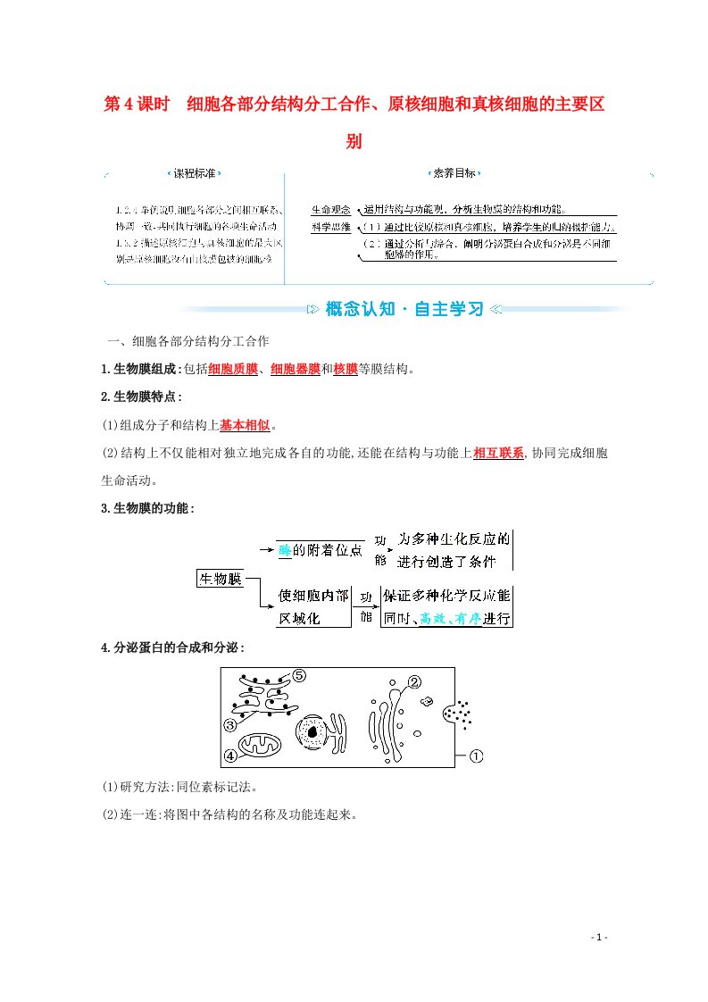 2021_2022版新教材高中生物第二章细胞的结构和生命活动第二节第4课时细胞各部分结构分工合作原核细胞和真核细胞的主要区别学案苏教版必修1