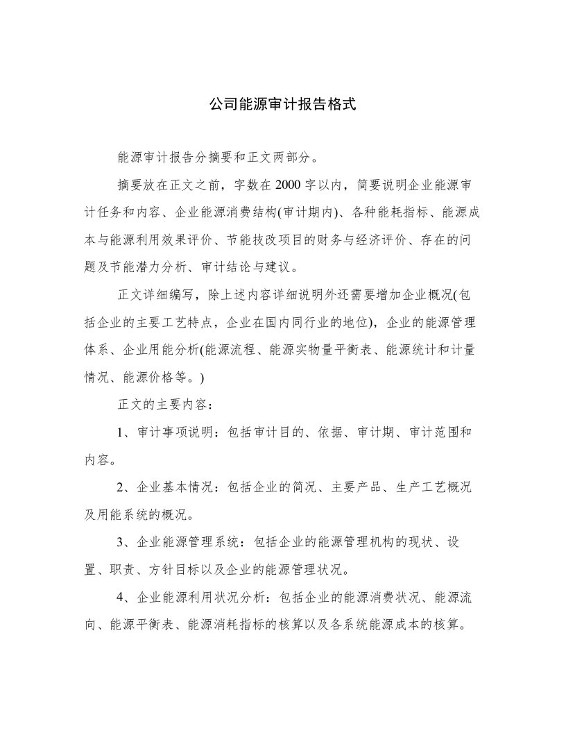 公司能源审计报告格式