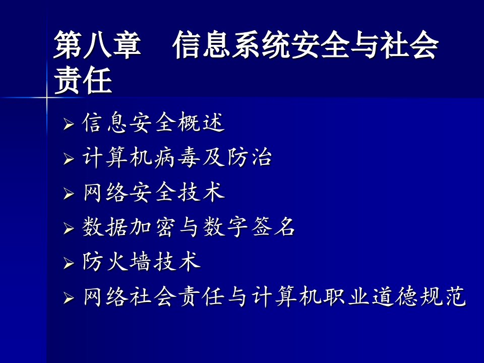 信息系统安全与社会责任