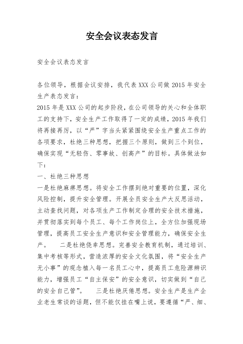 安全会议表态发言