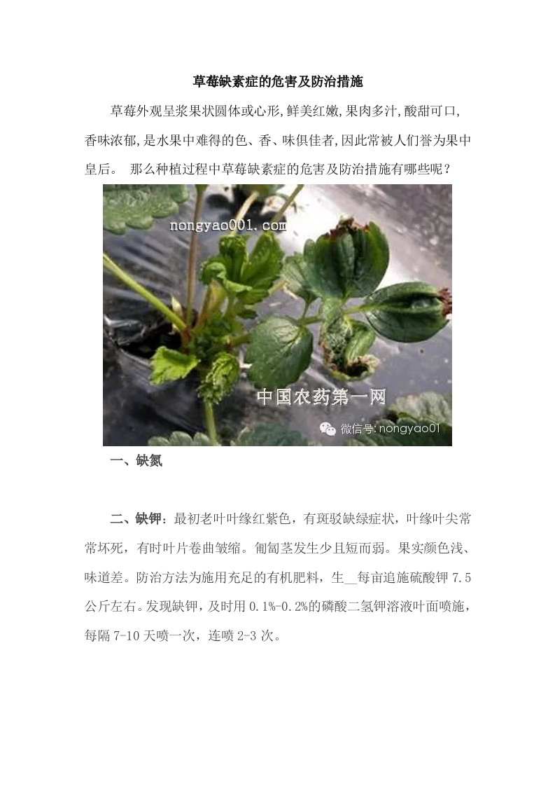 草莓缺素症的危害及防治措施