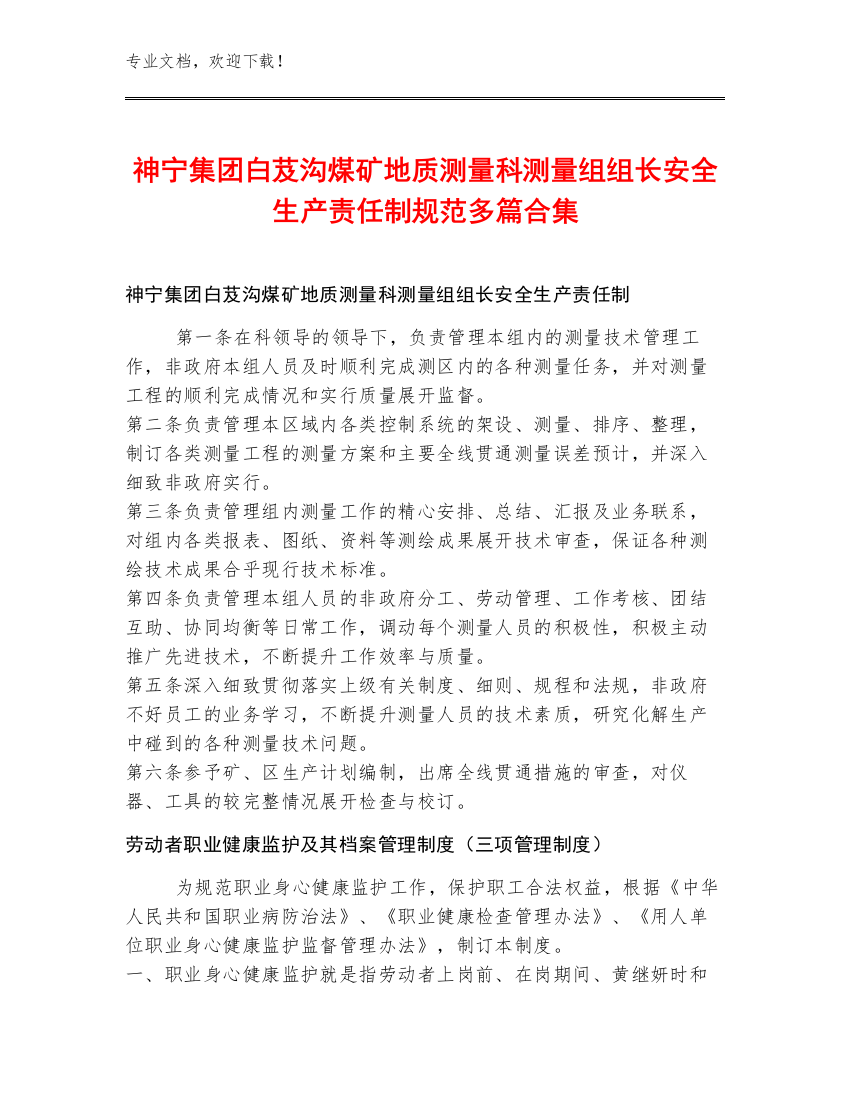 神宁集团白芨沟煤矿地质测量科测量组组长安全生产责任制规范多篇合集