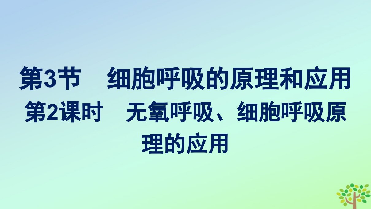 新教材适用高中生物第5章细胞的能量供应和利用第3节细胞呼吸的原理和应用第2课时无氧呼吸细胞呼吸原理的应用课件新人教版必修1