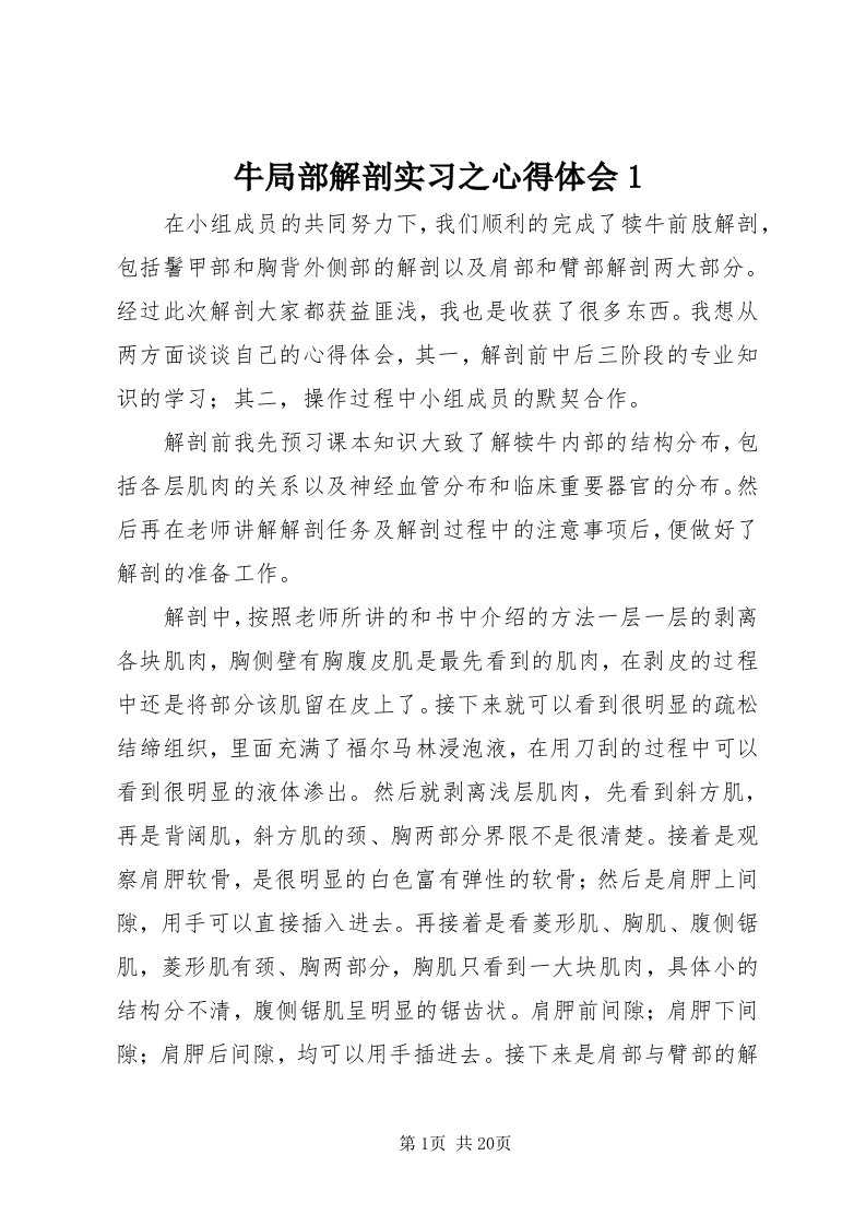 4牛局部解剖实习之心得体会