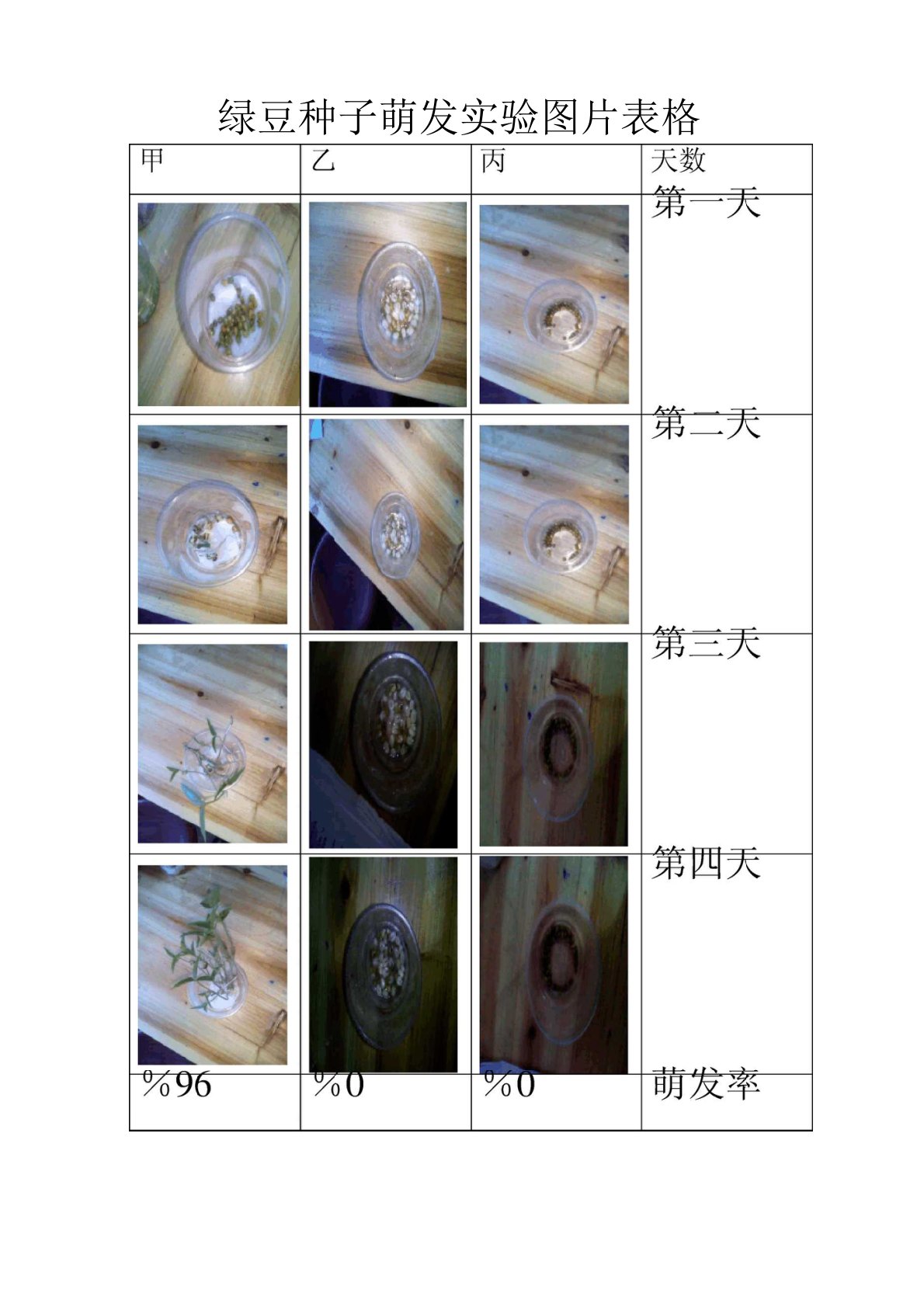 绿豆种子萌发实验报告