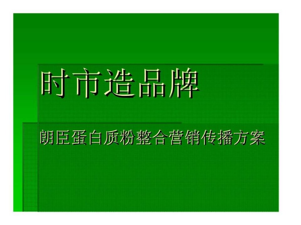 朗臣蛋白质粉整合营销传播方案