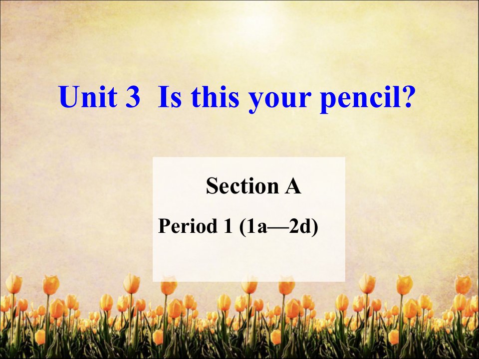 新人教版英语七年级上册unit3-Is-this-your-pencil--Section-A-1课件