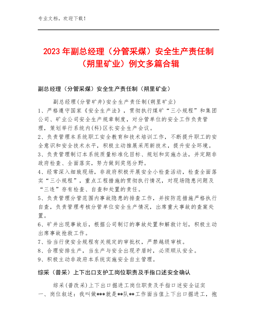 2023年副总经理（分管采煤）安全生产责任制（朔里矿业）例文多篇合辑