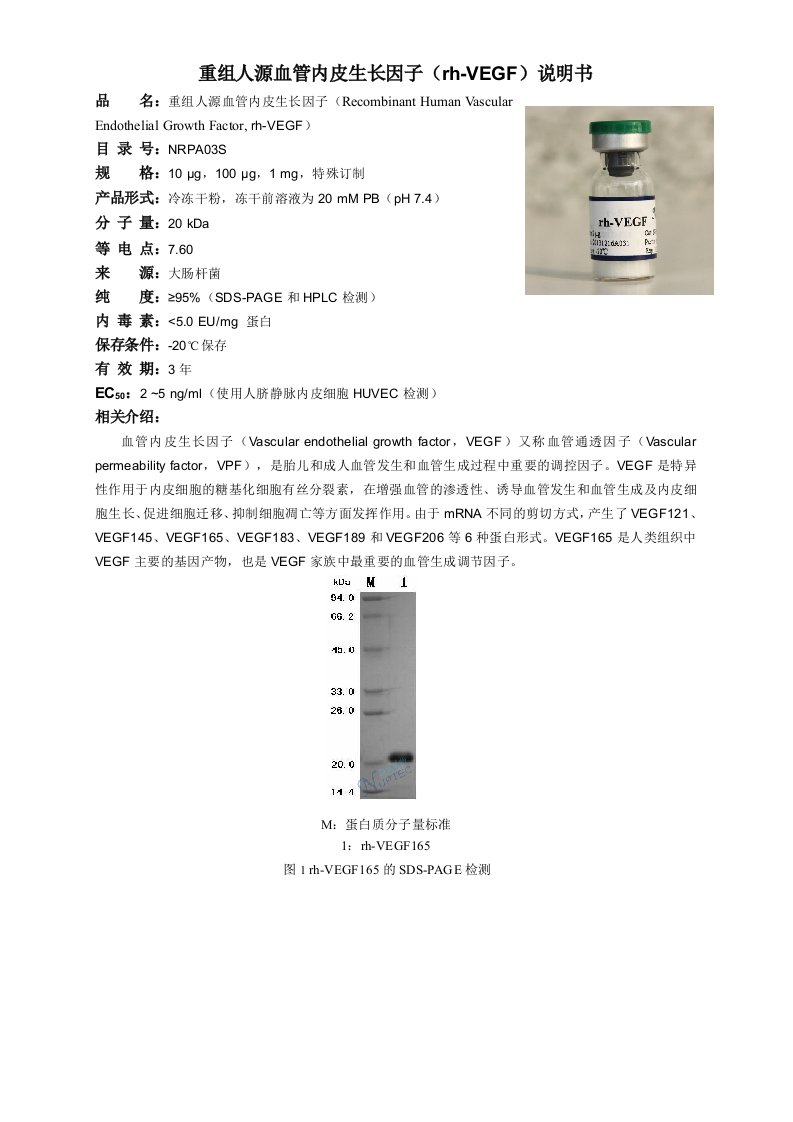 重组人源血管内皮生长因子rh-VEGF说明书