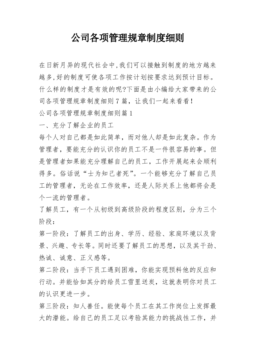 公司各项管理规章制度细则