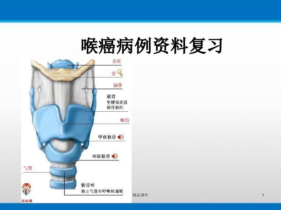 头颈部肿瘤课件ppt