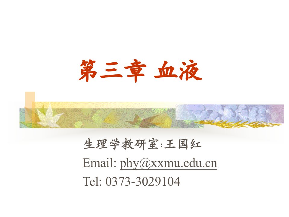 《生理学_血液》PPT课件