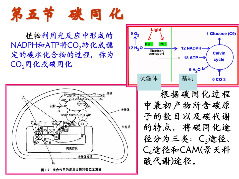 第四章3土壤养分