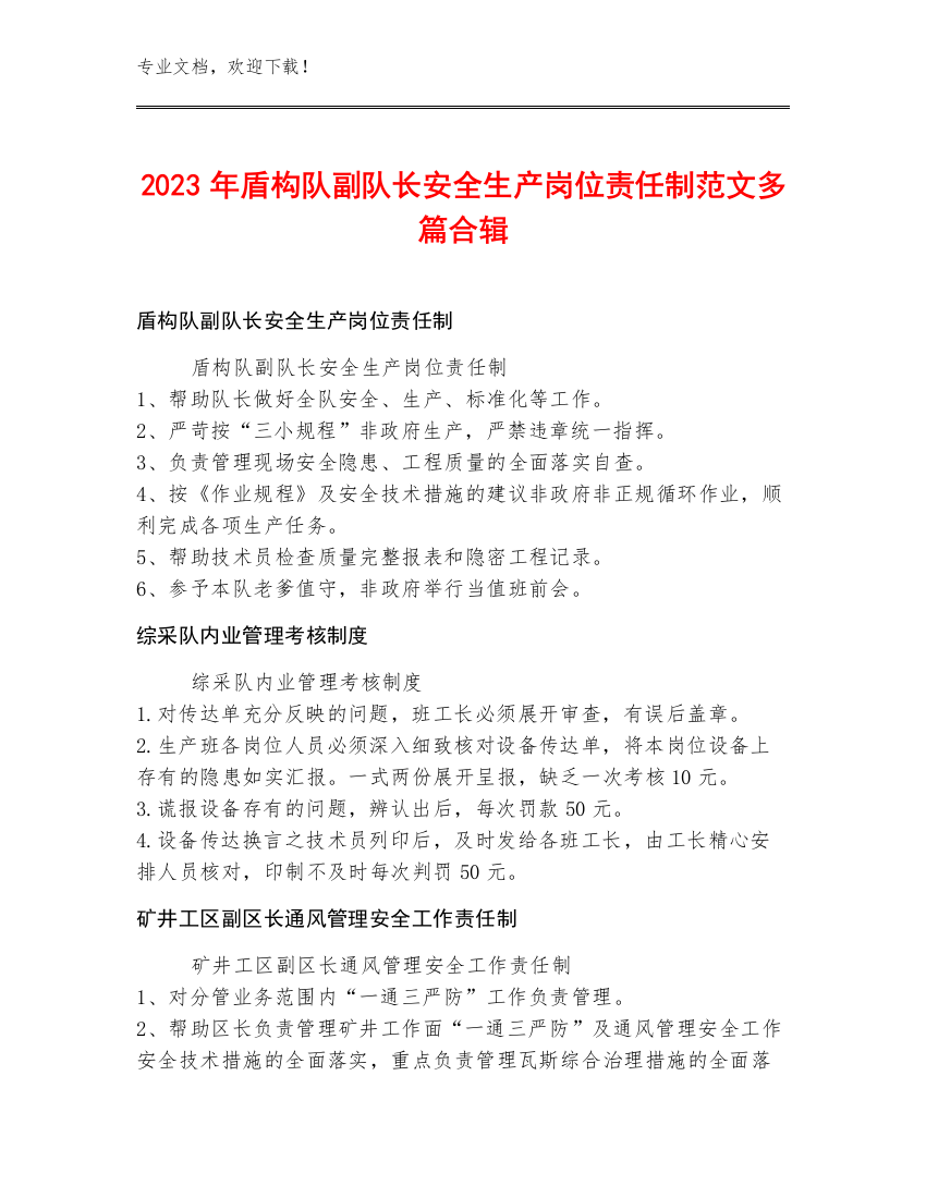 2023年盾构队副队长安全生产岗位责任制范文多篇合辑