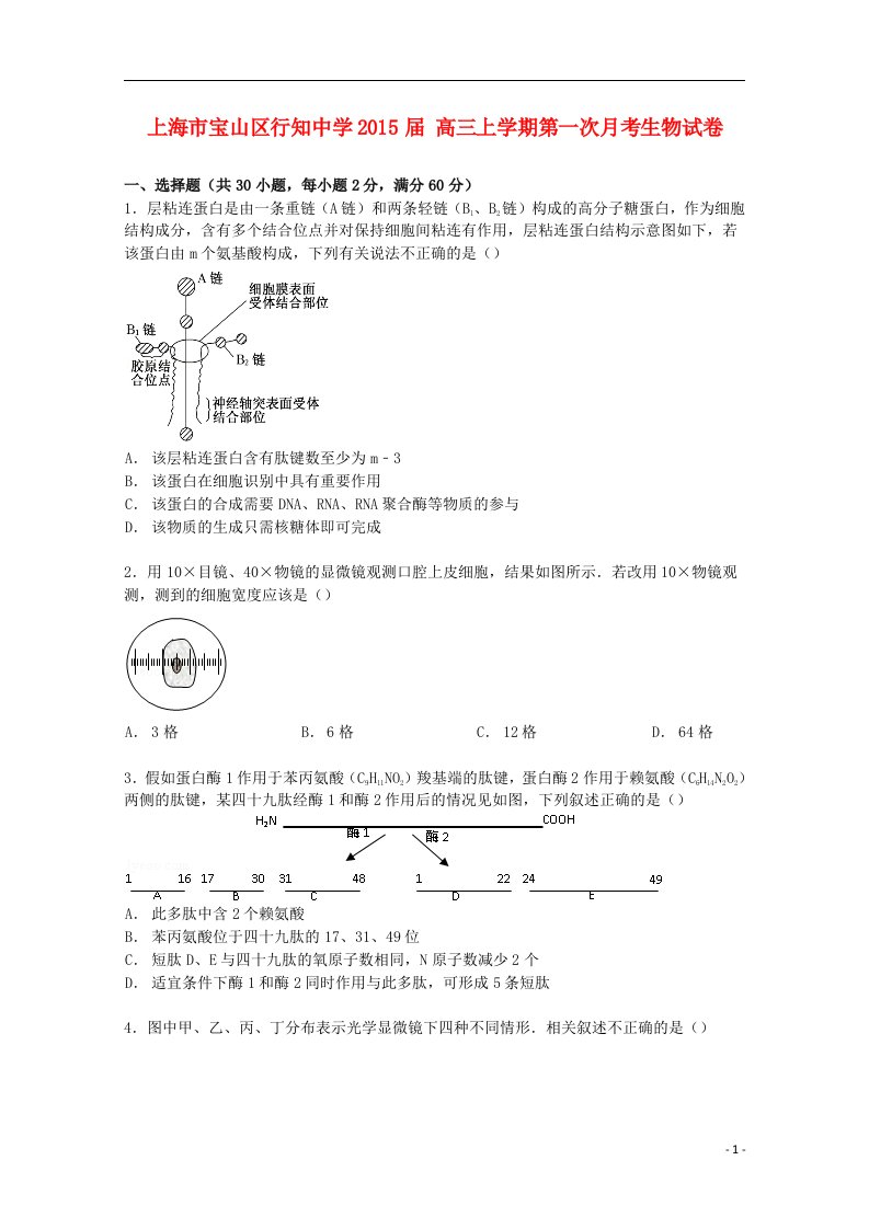 上海市宝山区行知中学高三生物上学期第一次月考试卷（含解析）