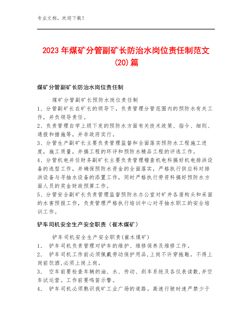 2023年煤矿分管副矿长防治水岗位责任制范文(20)篇