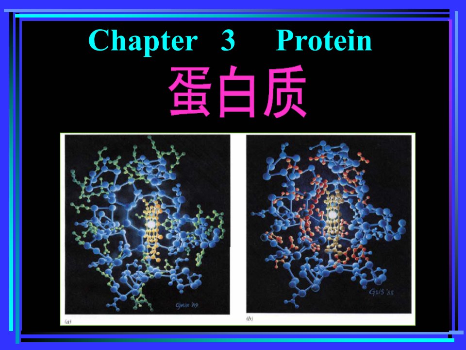 食品化学3蛋白质课件